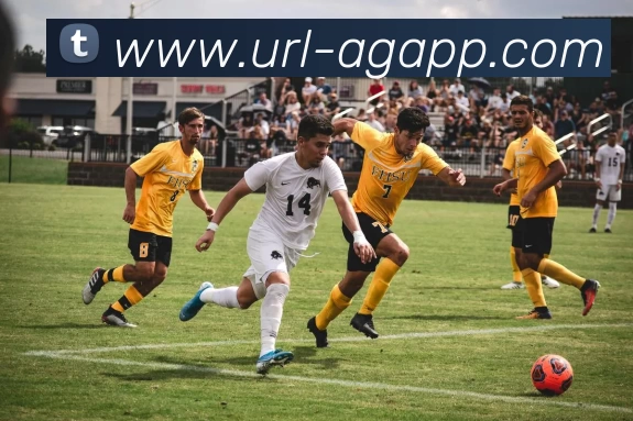 AG娱乐平台生态图