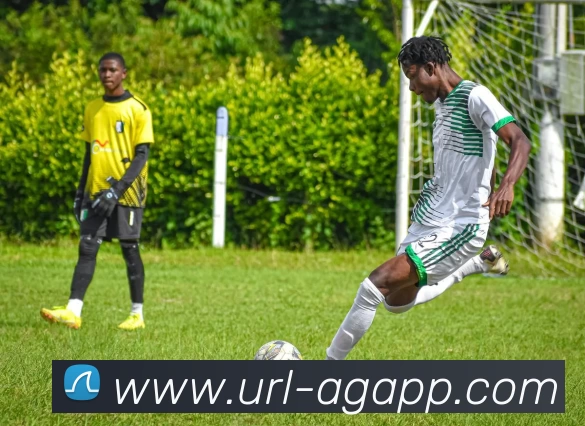 数据防护可视化